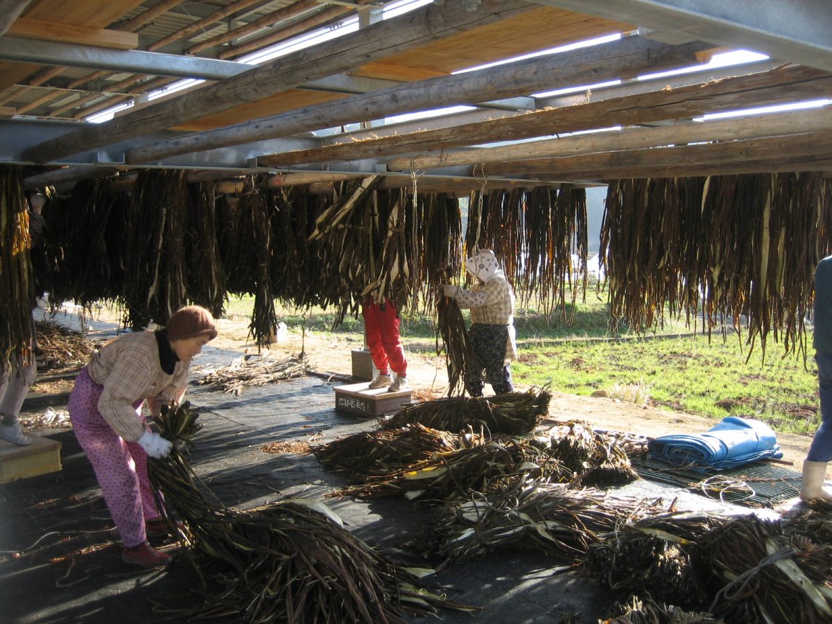 私たちについて