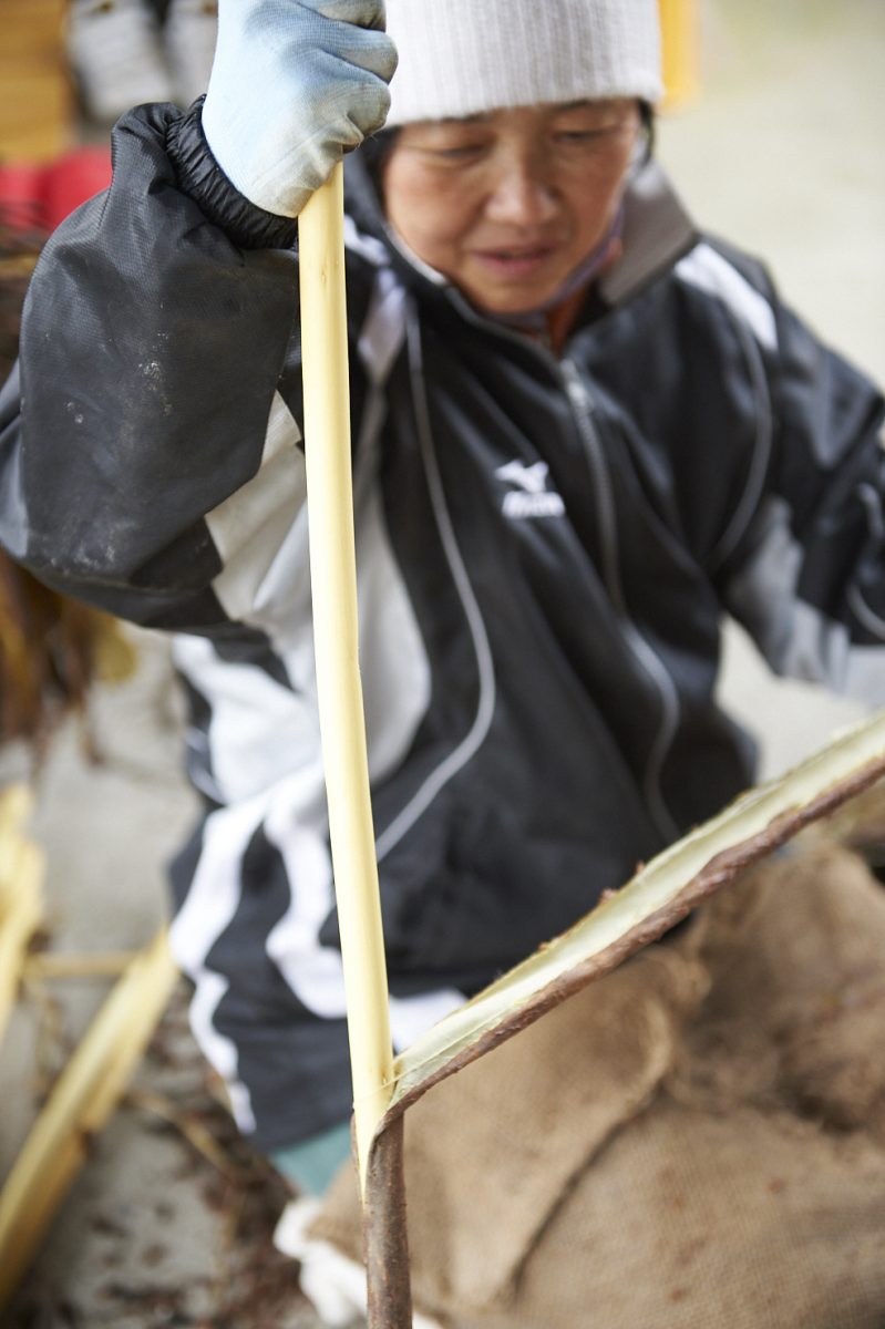 私たちについて