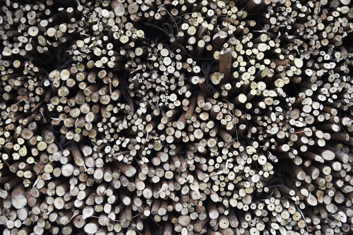 私たちについて