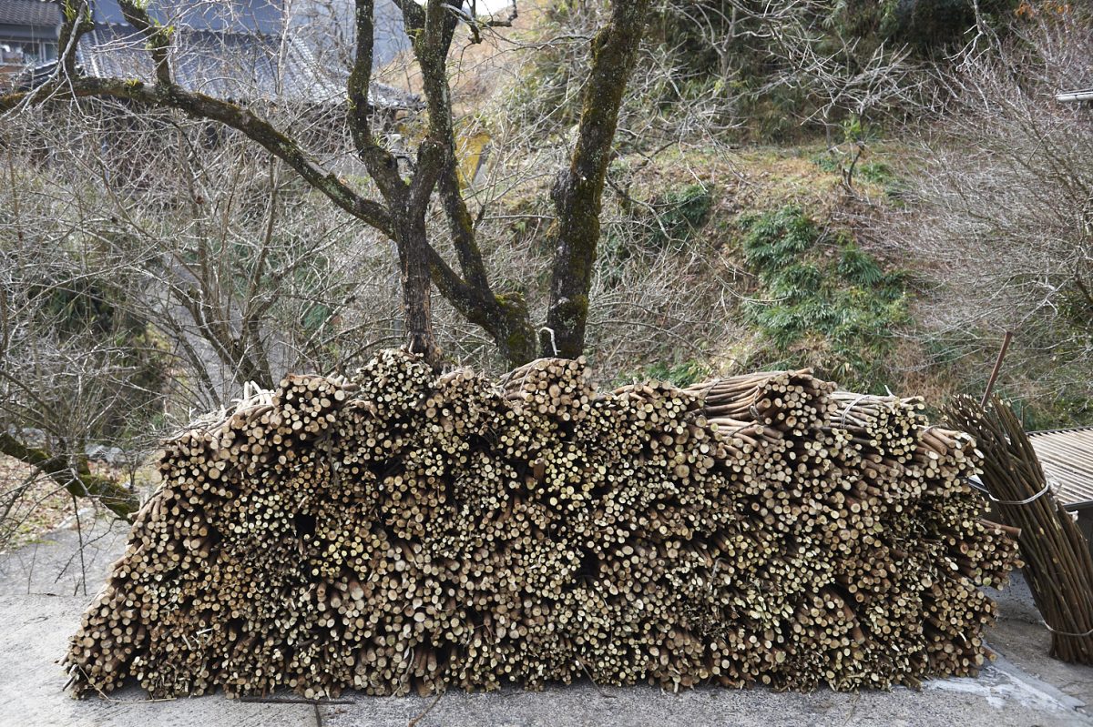 私たちについて