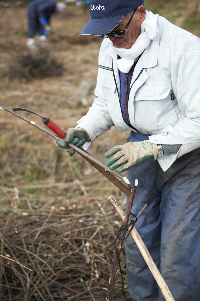 私たちについて