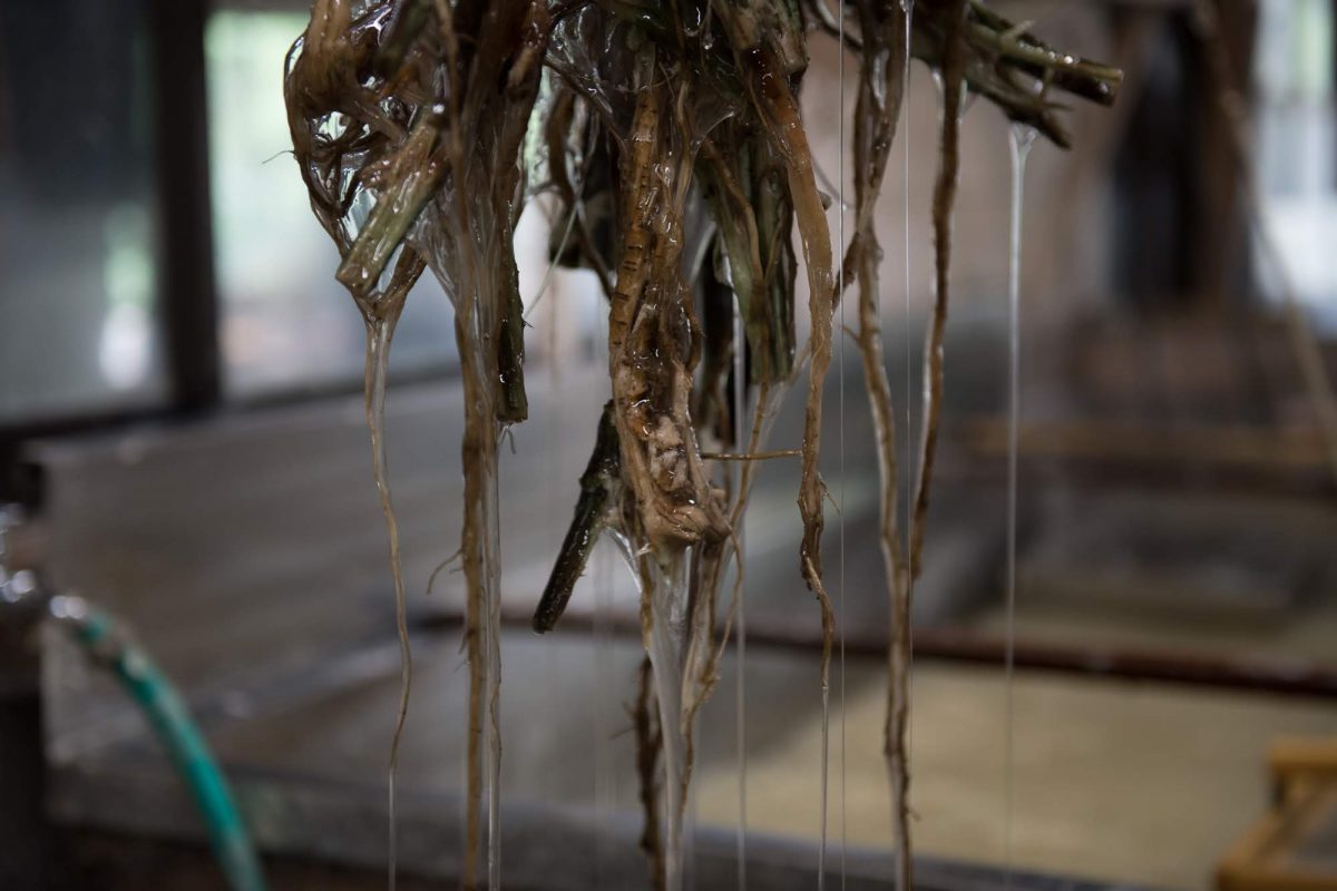 私たちについて