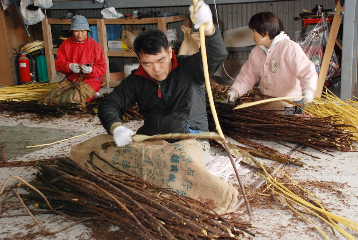 私たちについて