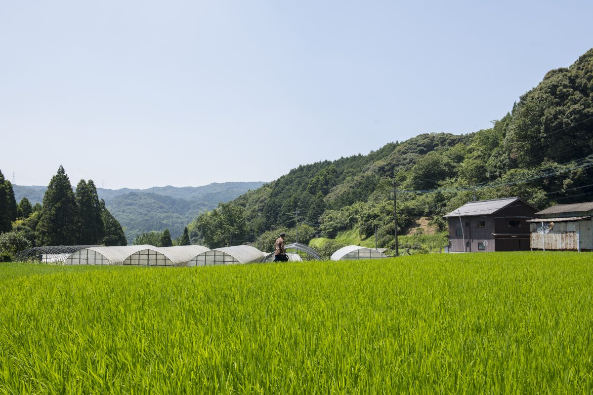 私たちについて