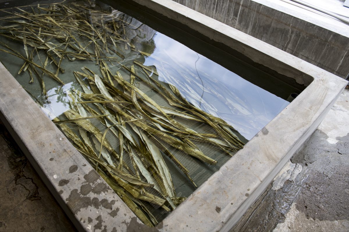 私たちについて