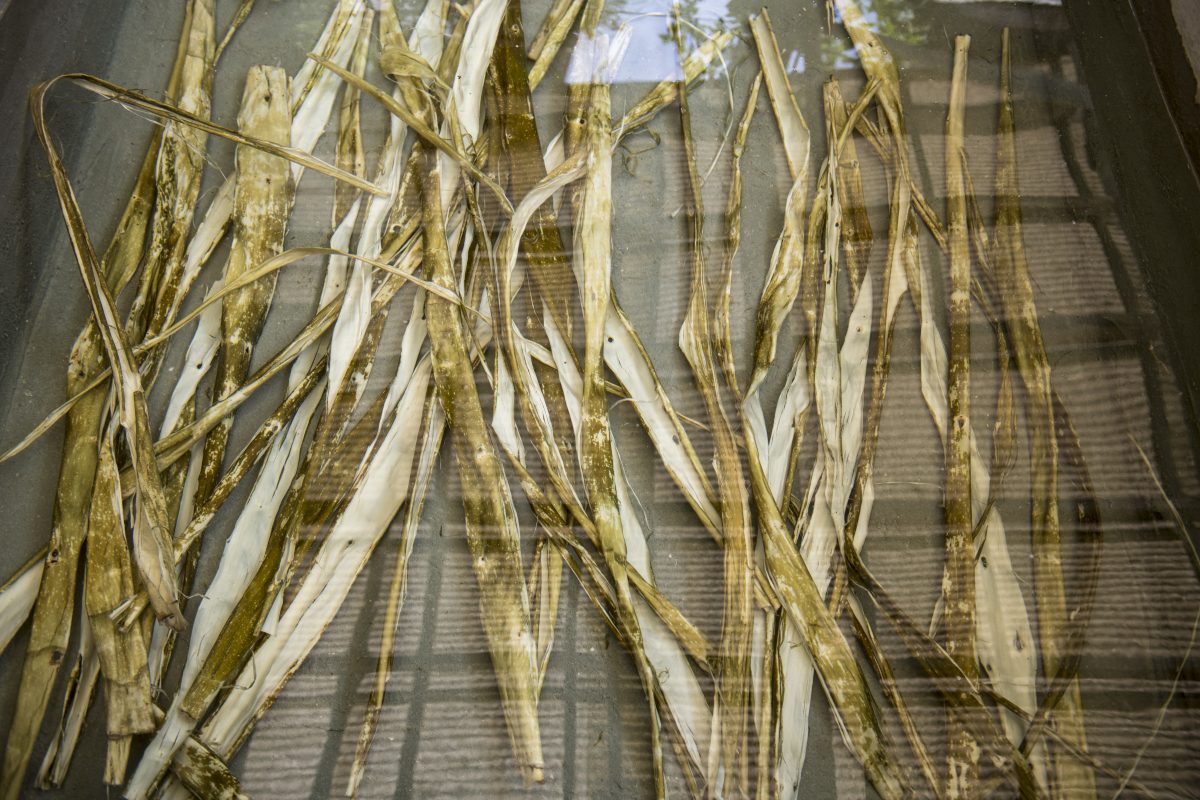 私たちについて