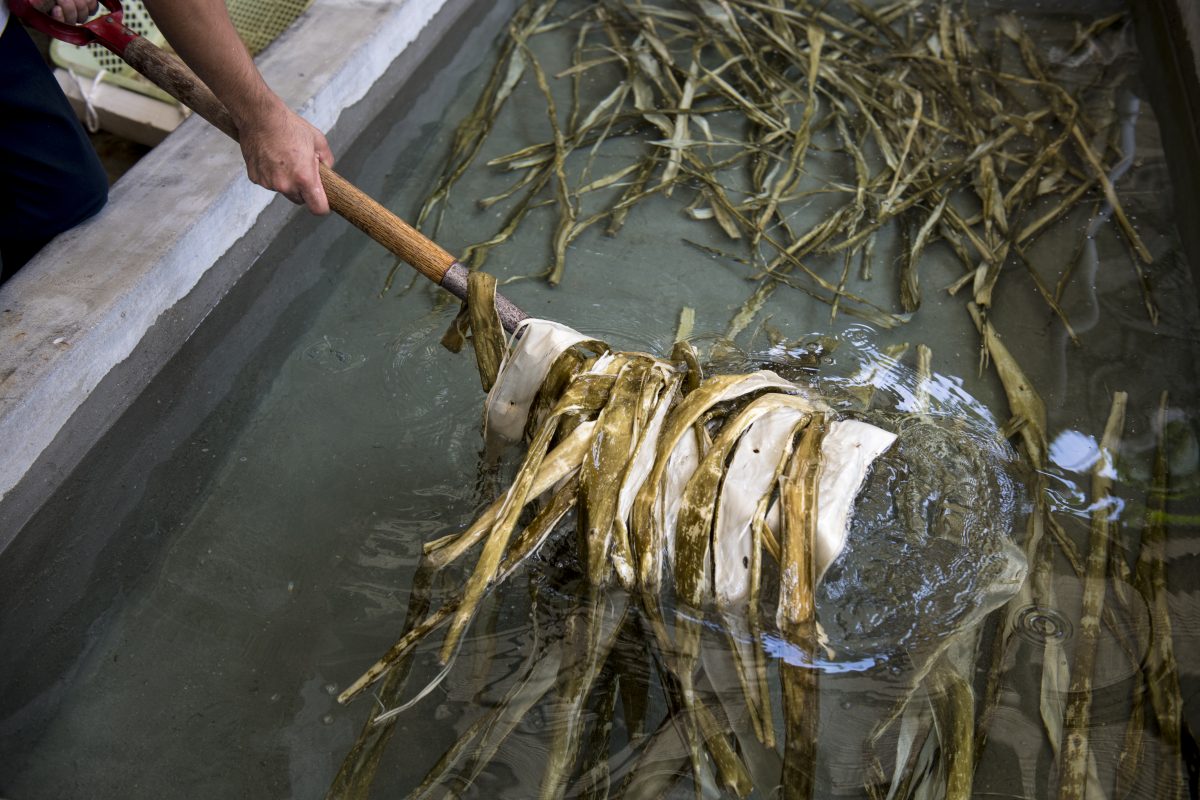 私たちについて