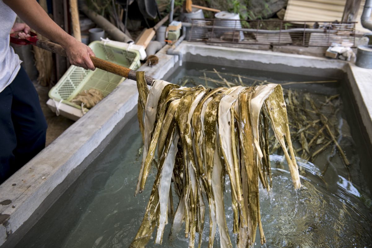 私たちについて