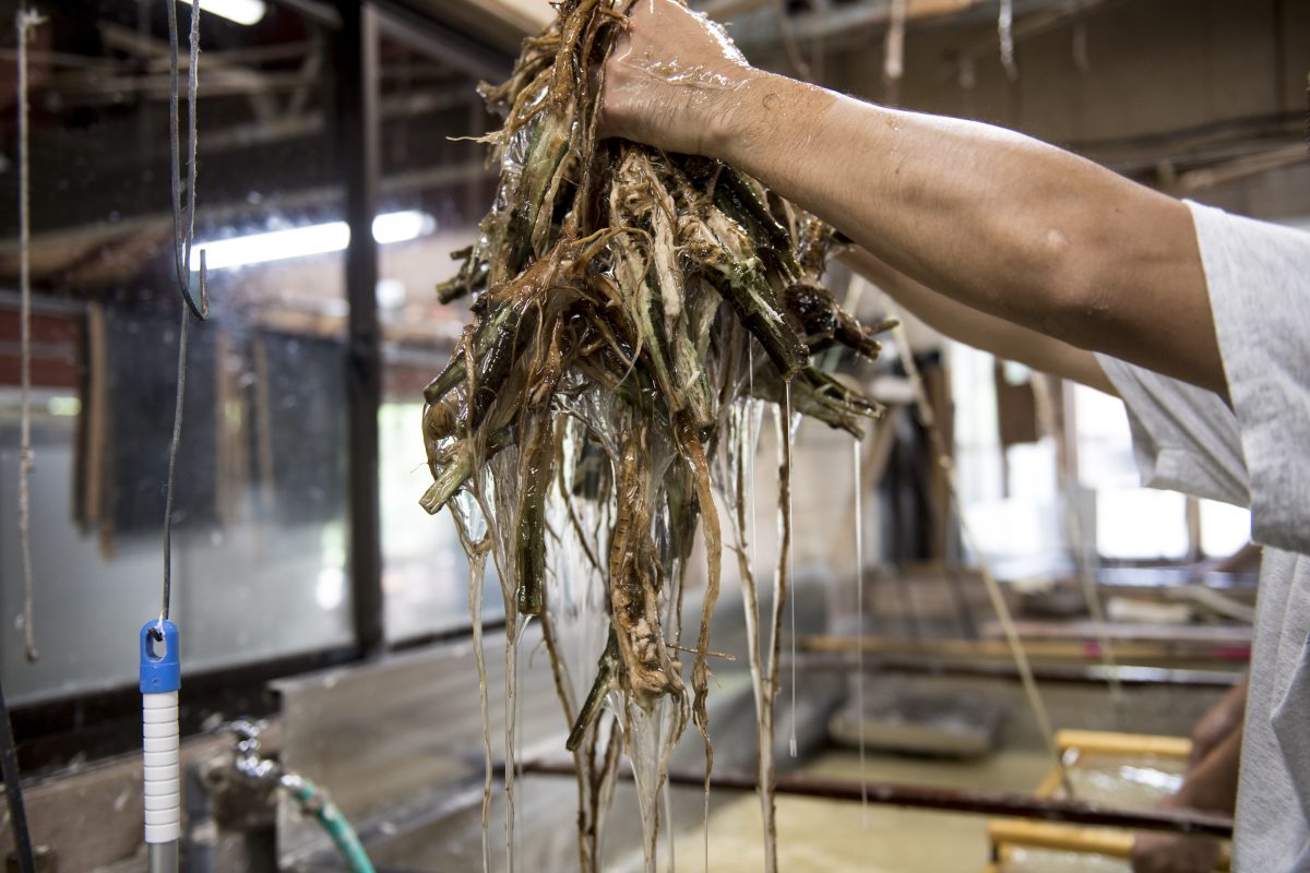 私たちについて