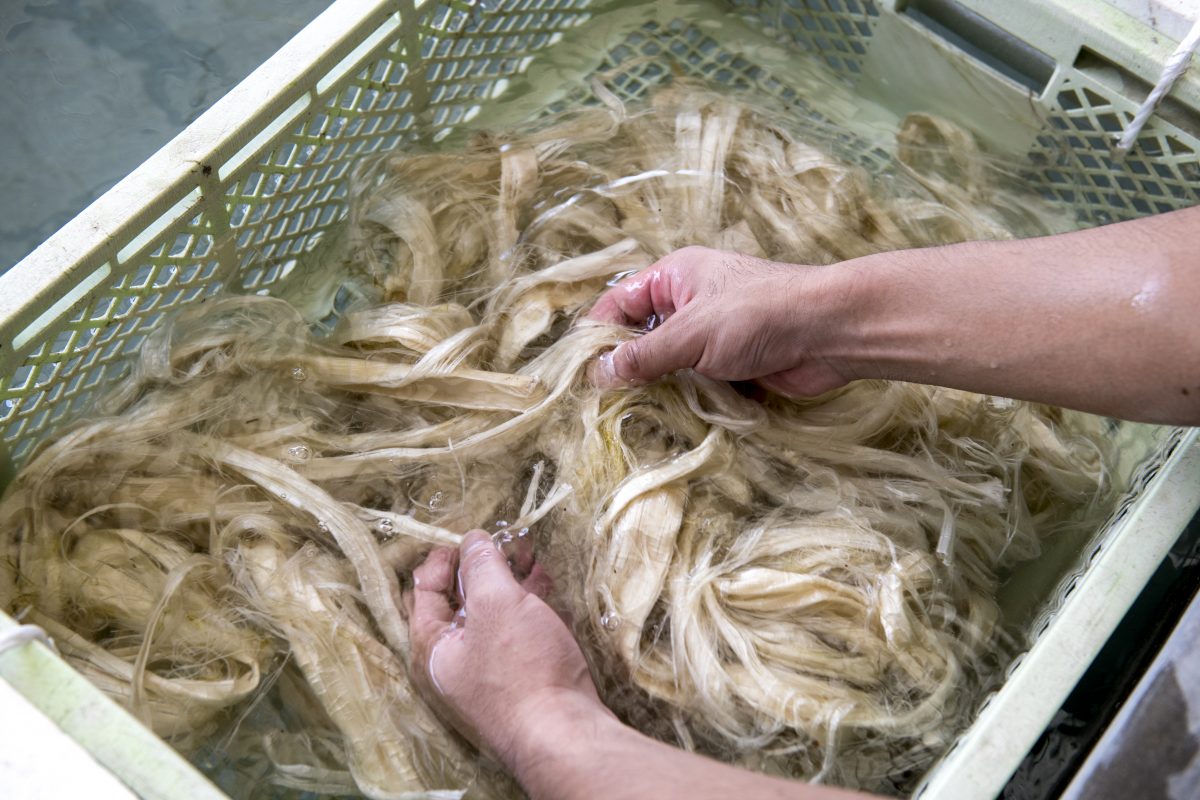 私たちについて