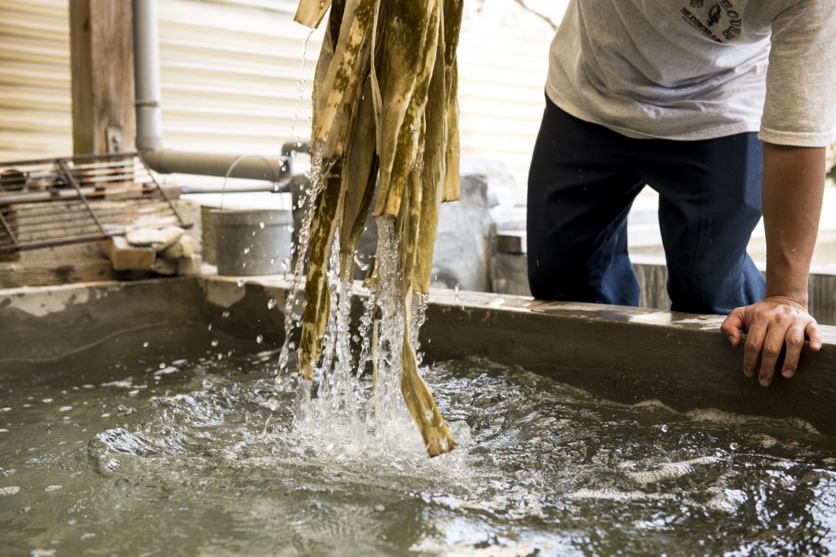 私たちについて