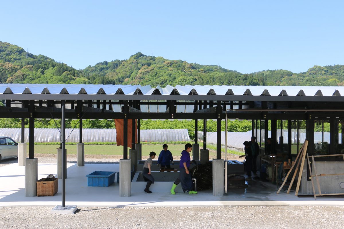 見学 / ワークショップ